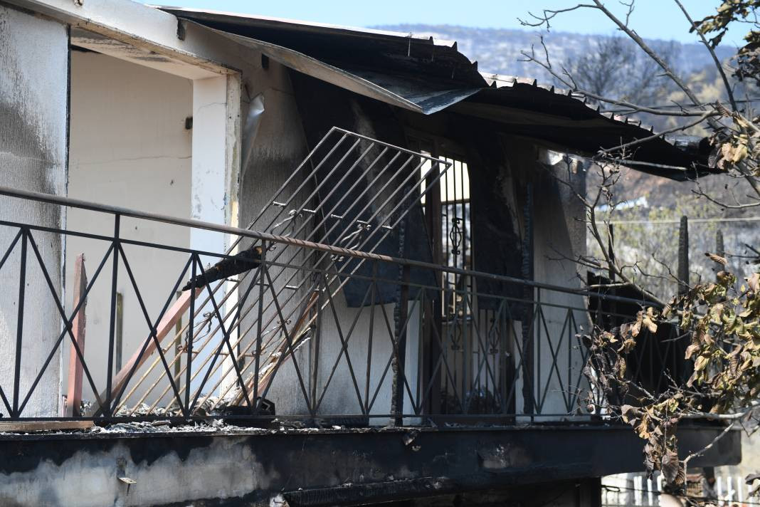 Meriç Bölgesi'nde yanan ormanlık alanda ceset bulundu - Resim: 2